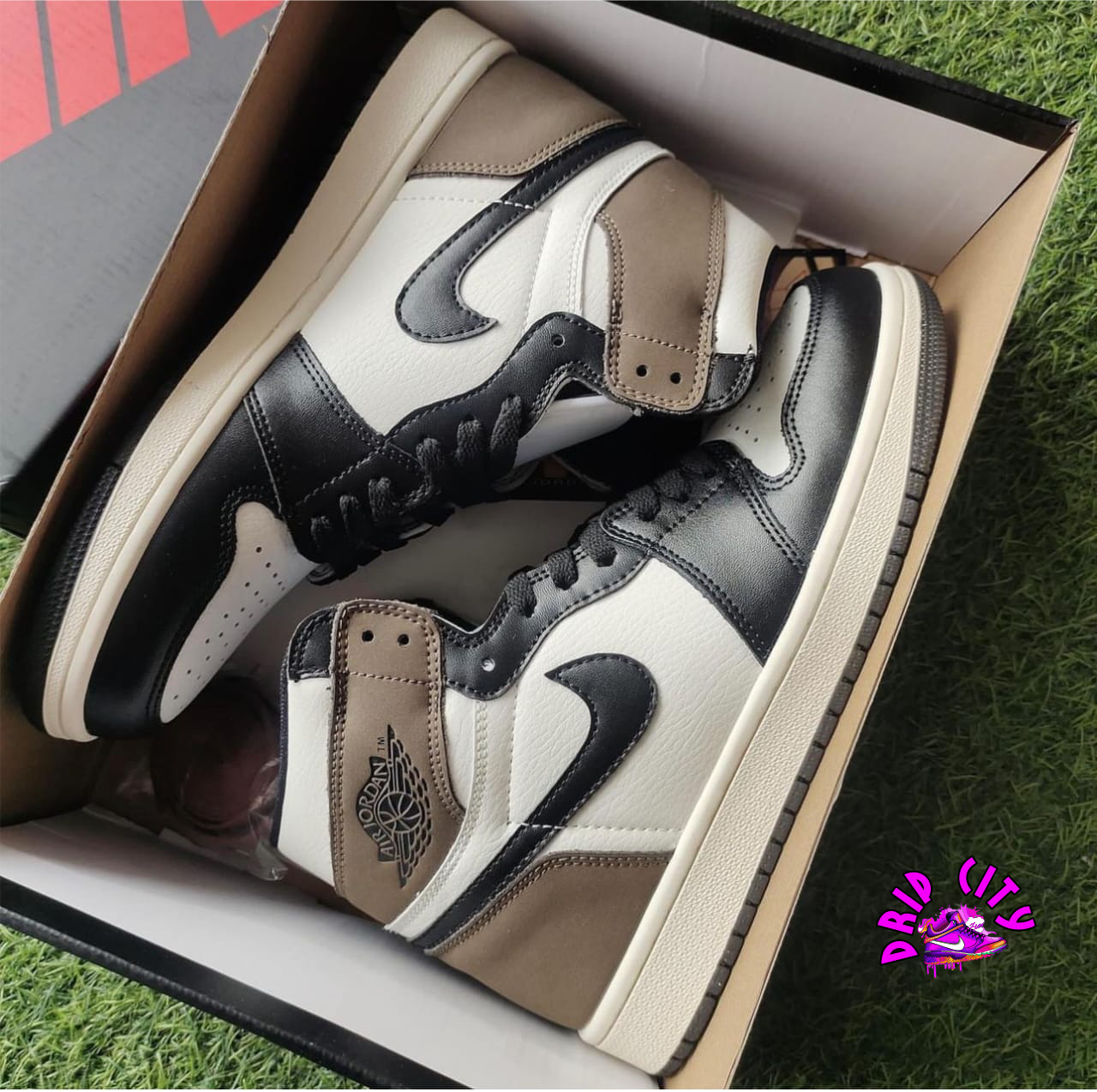Air Jordan 1 – The Sneaker That Started It Al