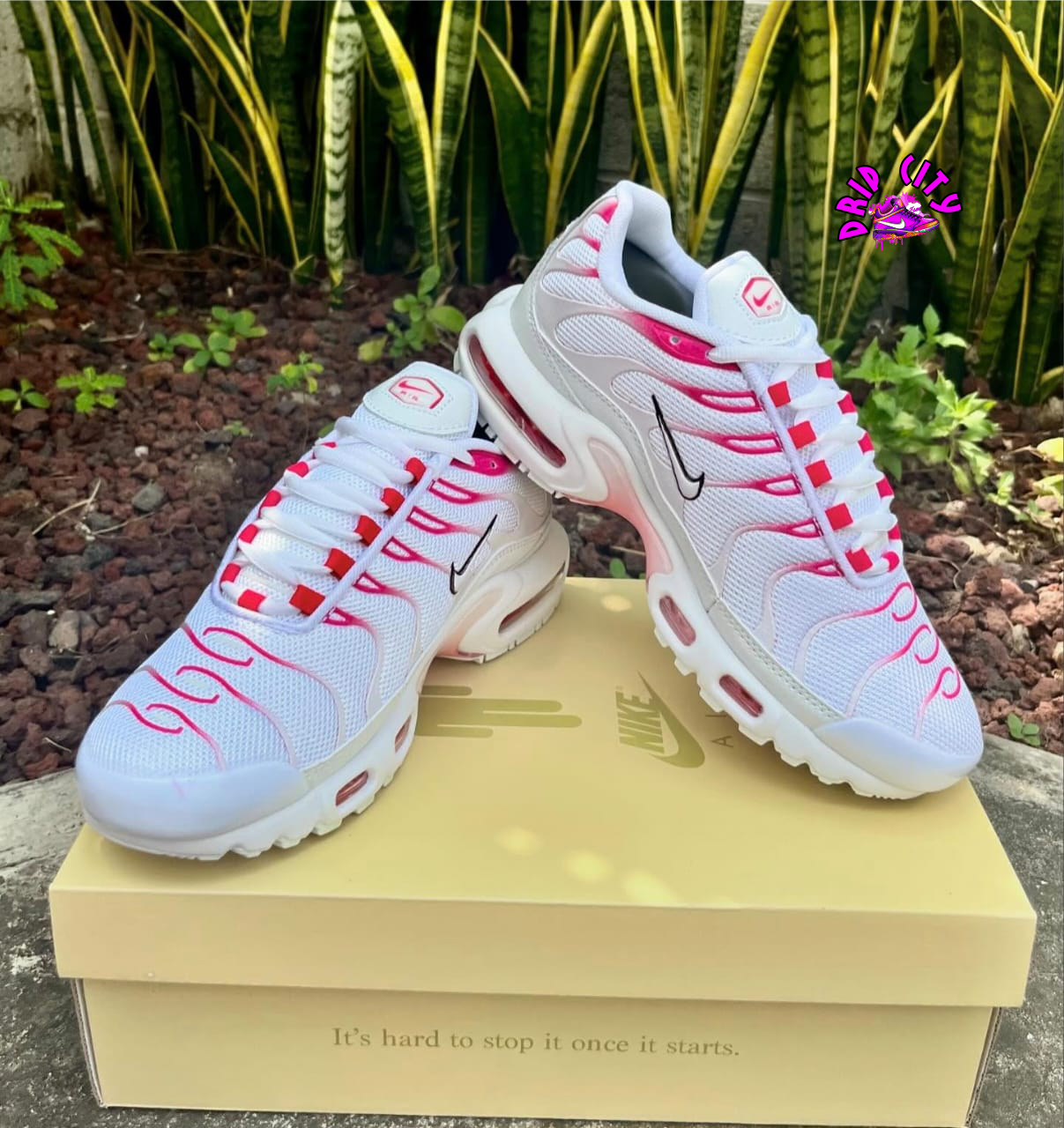 Nike Air Max Plus – Bold Style Meets Maximum Comfort